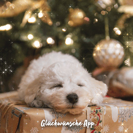 Hund, der sich vor einem Weihnachtsbaum auf einem Geschenk ausruht mit Wunsch "Ich wünsche dir einen zauberhaften 1. Weihnachtstag und viel Zeit für gemütliche Stunden!"