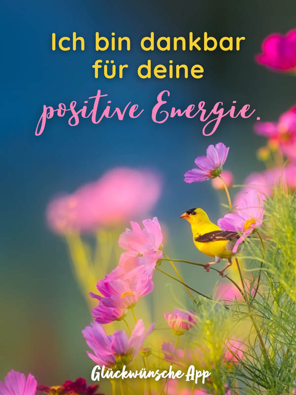 Lila Blumen und ein gelber Vogel mit dem Danke Spruch „Ich bin dankbar für deine positive Energie."