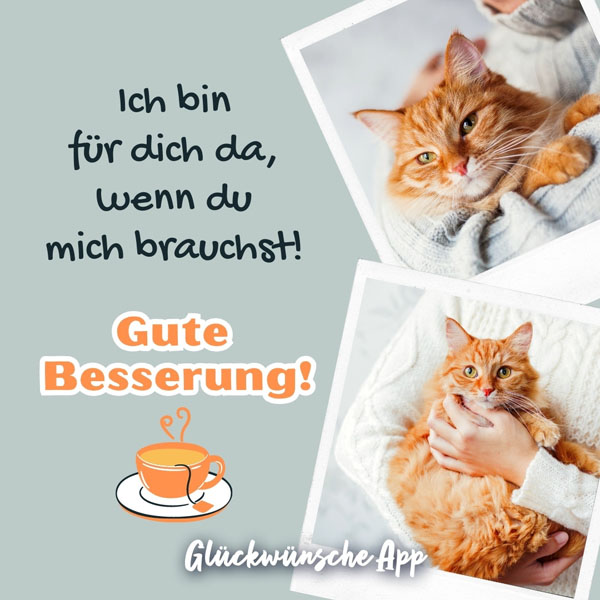 Katze mit Genesungswunsch "Ich bin für dich da, wenn du mich brauchst! Gute Besserung!"