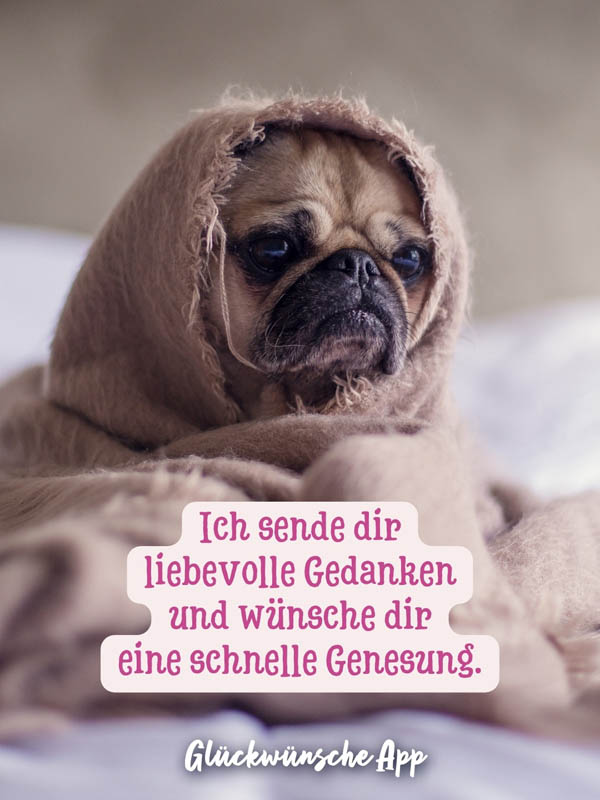 Hund mit Decke und dem Genesungswunsch "Ich sende dir liebevolle Gedanken und wünsche dir eine schnelle Genesung."