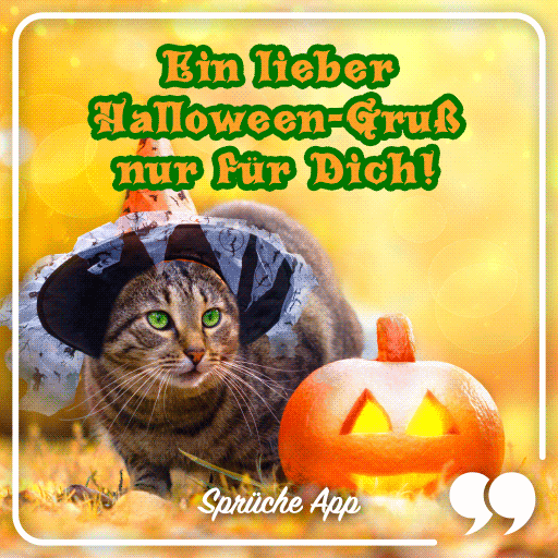 Katze mit einem Hexenhut und Kürbis mit dem Spruch "Ein lieber Halloween-Gruß nur für Dich!"