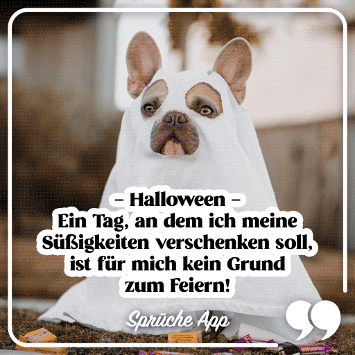 Hund, der ein Geister Kostüm an hat mit Spruch "Halloween – Ein Tag, an dem ich meine Süßigkeiten verschenken soll, ist für mich kein Grund zum Feiern!"