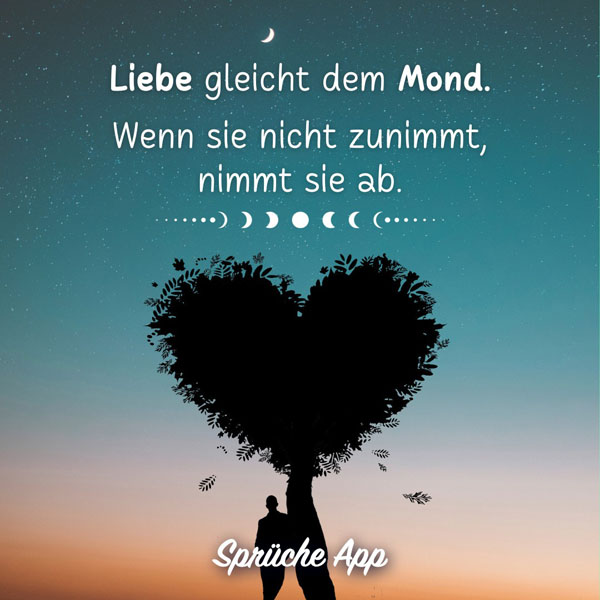 Mann, der im Sonnenuntergang unter einem Baum steht mit Spruch "Liebe gleicht dem Mond. Wenn sie nicht zunimmt, nimmt sie ab."