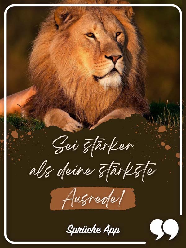 Löwe im Sonnenuntergang mit Motivationsspruch "Sei stärker als deine stärkste Ausrede!"