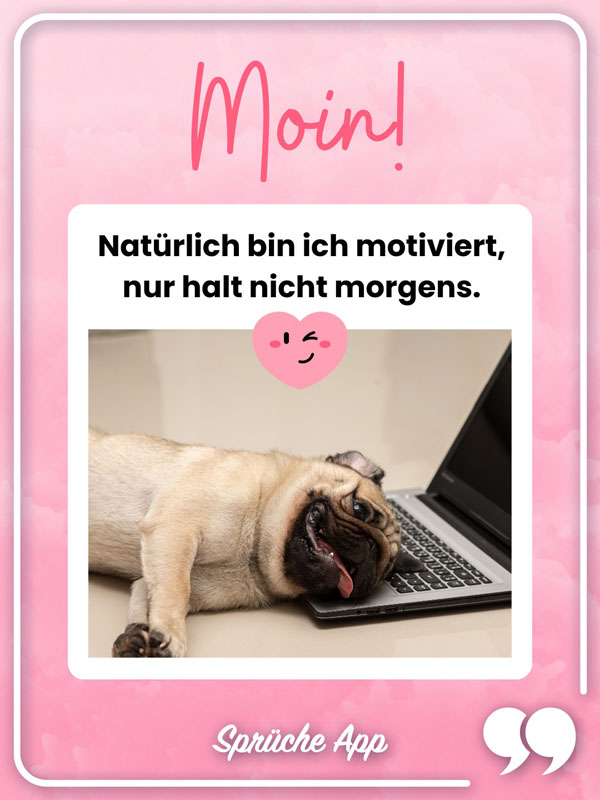 Hund der auf Laptop liegt mit dem Status: Moin! Natürlich bin ich motiviert, nur halt nicht morgens.