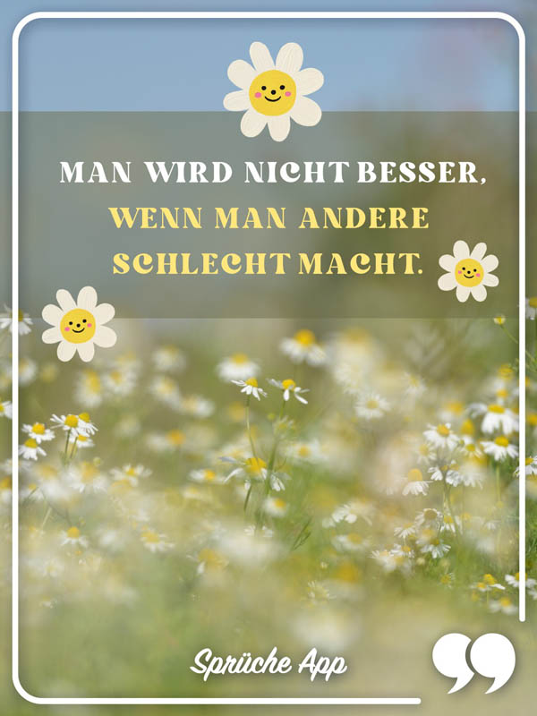 Blumenwiese mit dem Spruch: Man wird nicht besser, wenn man andere schlecht macht.