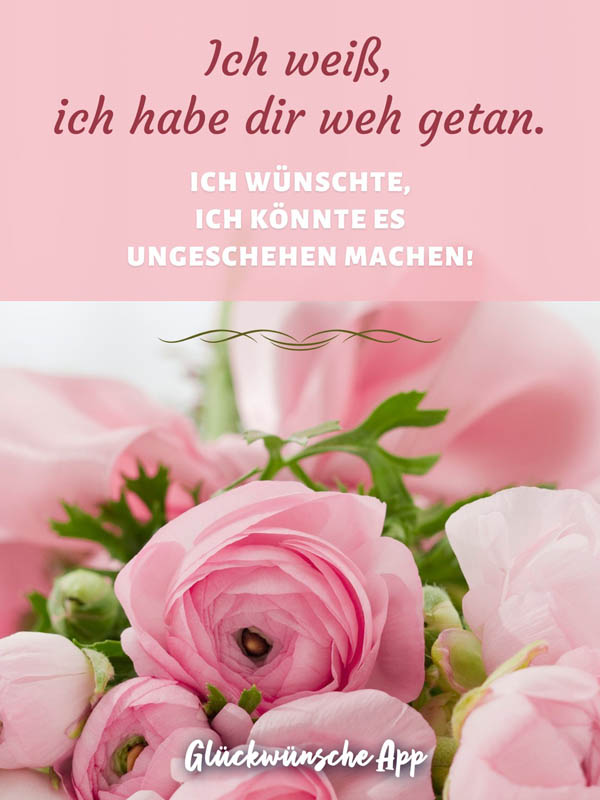 Rosa Rosen und Spruch „Ich weiß, ich habe dir weh getan. Ich wünschte, ich könnte es ungeschehen machen!"