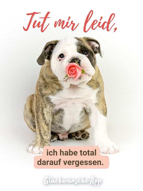 Hund mit Rose im Mund und Spruch: „Tut mir leid, ich habe total darauf vergessen."
