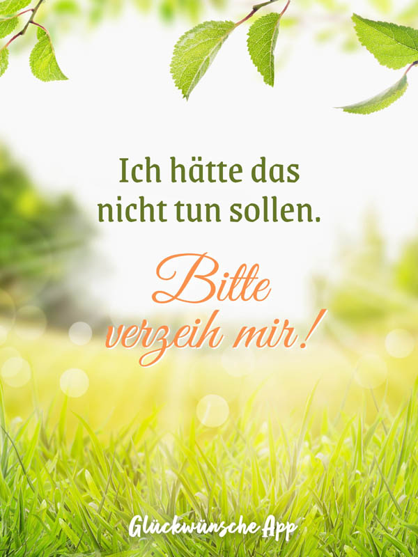 Wiese und Sonnenschein mit Text: „Ich hätte das nicht tun sollen. Bitte verzeig mir!"