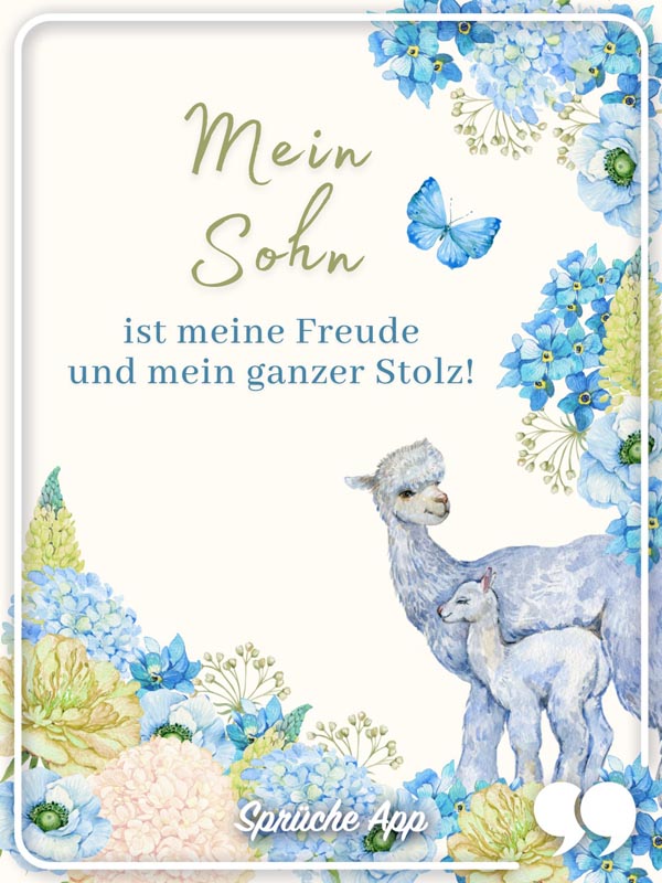 Illustrierte Lamas mit Spruch: „Mein Sohn ist meine Freude und mein ganzer Stolz!"