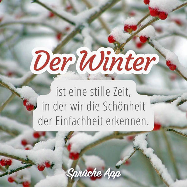 Schneebedeckter Strauch mit roten Beeren und Spruch: „Der Winter ist eine stille Zeit, in der wir die Schönheit der Einfachheit erkennen."