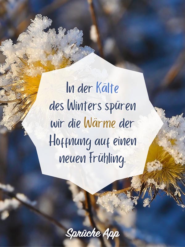 Blumen mit Frost und Spruch „In der Kälte des Winters spüren wir die Wärme der Hoffnung auf einen neuen Frühling."