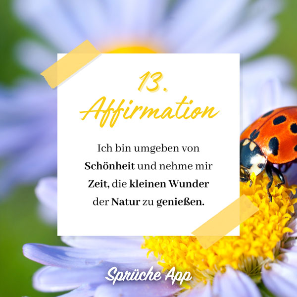 Marienkäfer auf einer Blume mit Text: Ich bin umgeben von Schönheit und nehme mir Zeit, die kleinen Wunder der Natur zu genießen.