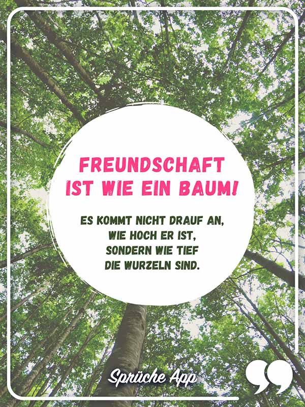 Baum mit Text: „Freundschaft ist wie ein Baum! Es kommt nicht drauf an, wie hoch er ist, sondern wie tief die Wurzeln sind."