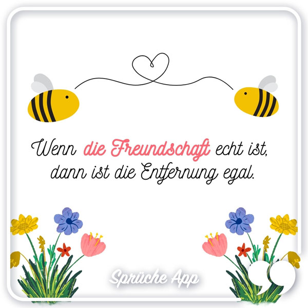 Zwei illustrierte Bienen mit Spruch: „Wenn die Freundschaft echt ist, dann ist die Entfernung egal."