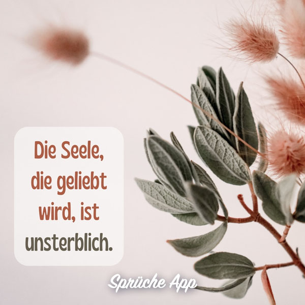 Trockenblumen mit Text: „Die Seele, die geliebt wird, ist unsterblich."