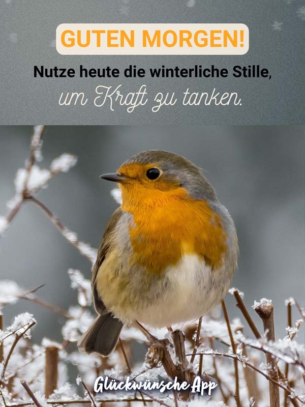 Vogel im Schnee mit Gruß:  „Guten Morgen! Nutze heute die winterliche Stille, um Kraft zu tanken."