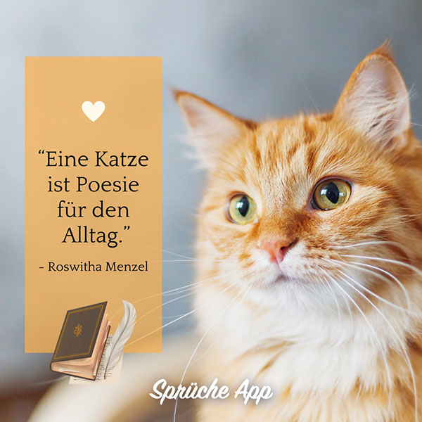 Rote Katze mit Katzenspruch: „Eine Katze ist Poesie für den Alltag." – Roswitha Menzel und illustration eines Buches
