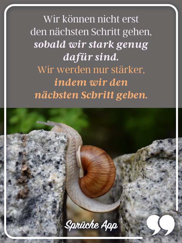 Schnecke auf einem Stein mit Spruch: „Wir können nicht erst den nächsten Schritt gehen, sobald wir stark genug dafür sind. Wir werden nur stärker, indem wir den nächsten Schritt gehen."