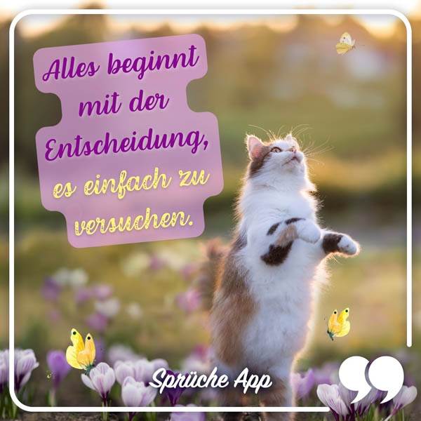 Katze in einem Blumenfeld und Spruch: „Alles beginnt mit der Entscheidung, es einfach zu versuchen."