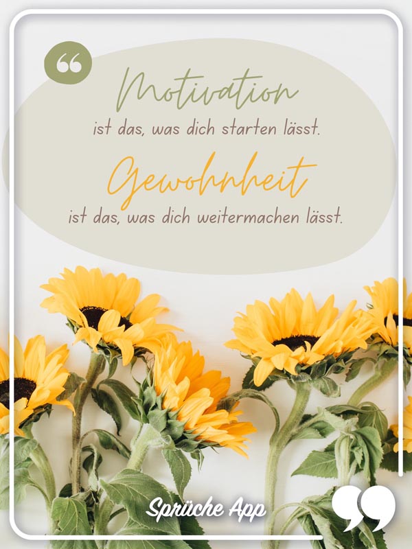 Sonnenblumen und Erfolg Spruch: „Motivation ist das, was dich starten lässt. Gewohnheit ist das, was dich weitermachen lässt."