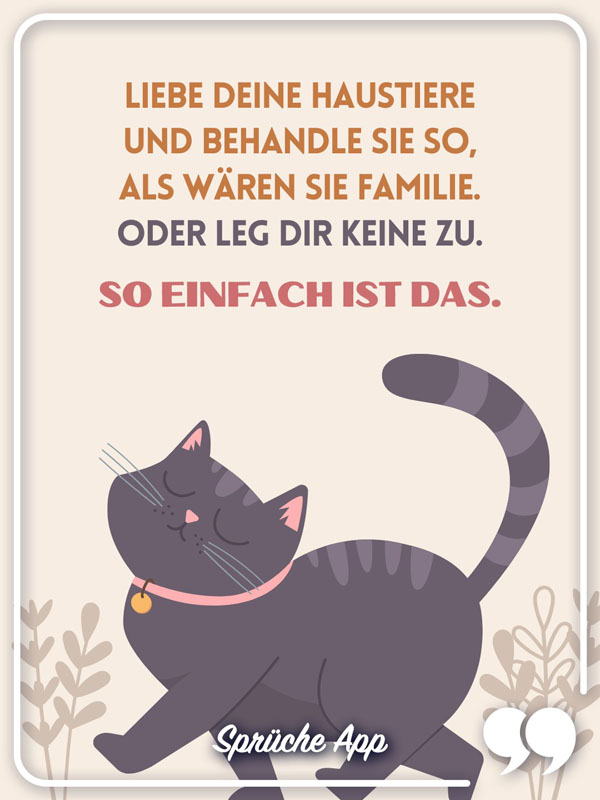 Illustrierte Katze mit geschlossenen Augen und Katzenspruch: „Liebe deine Haustiere und behandle sie so, als wären sie Familie. Oder leg dir keine zu. So einfach ist das."