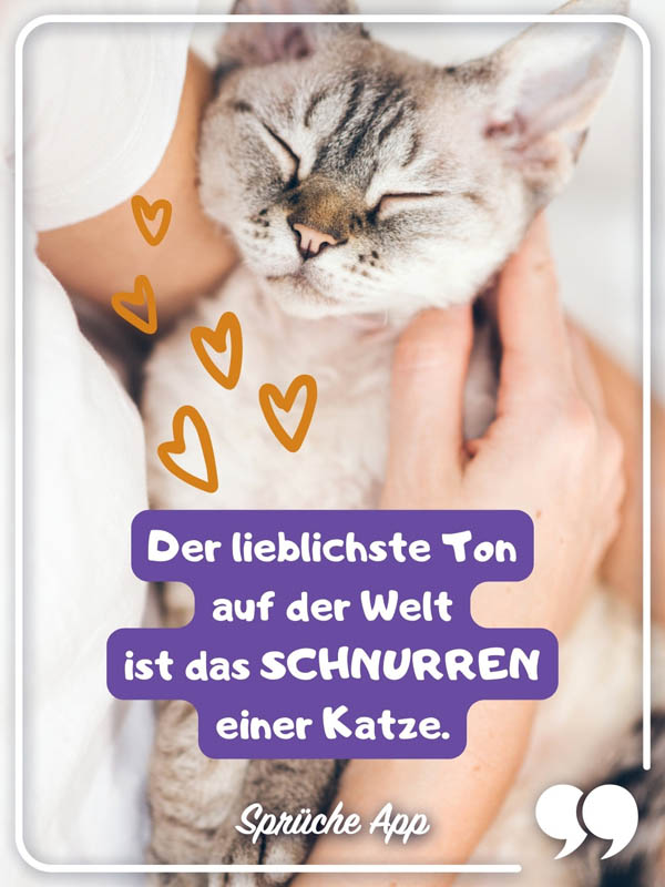 Katze, die gestreichelt wird mit Text: „Der lieblichste Ton auf der Welt ist das Schnurren einer Katze."