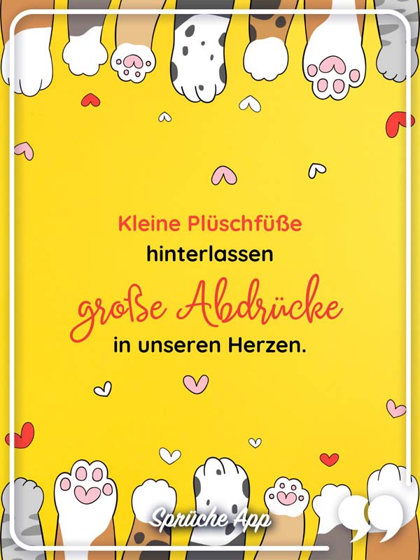 Illustrierte Katzenpfoten mit Herzen und Spruch: „Kleine Plüschfüße hinterlassen große Abdrücke in unseren Herzen."