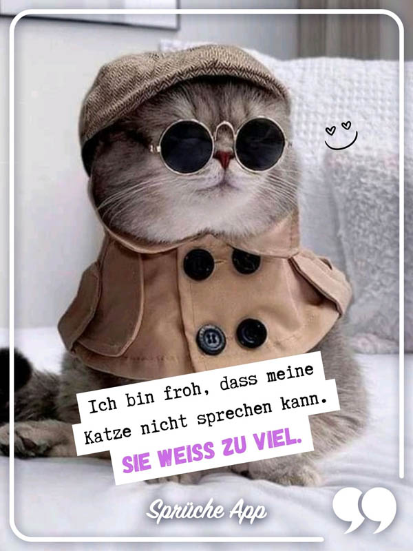 Verkleidete Katze mit Brille und Hut und Spruch: „Ich bin froh, dass meine Katze nicht sprechen kann. Sie weiß zu viel."