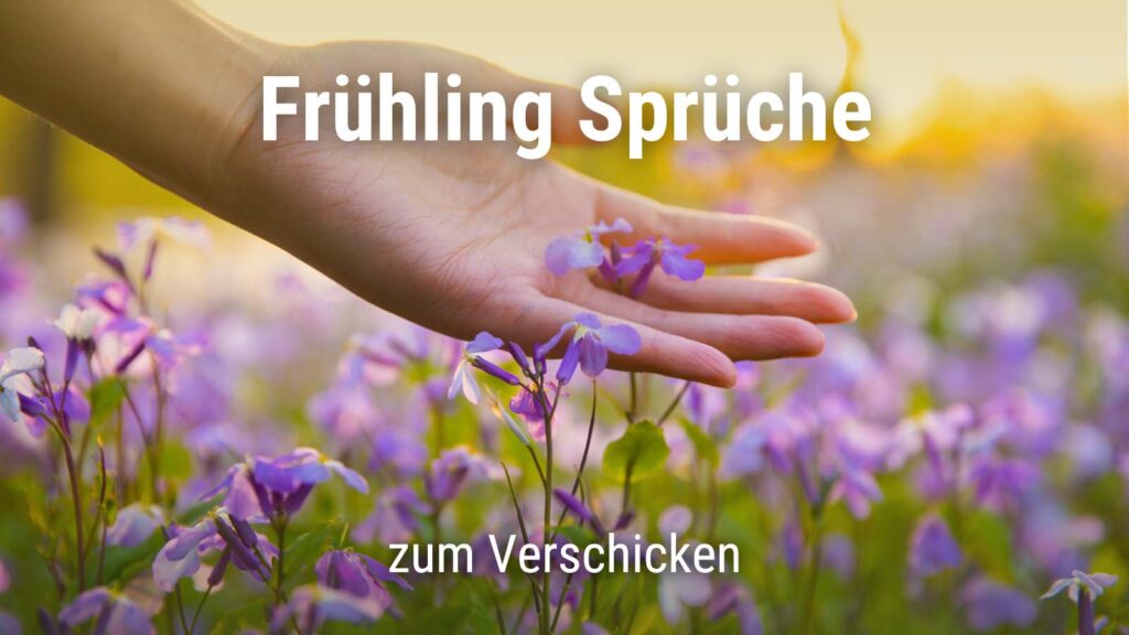 Frühling Sprüche mit Zitaten und Bildern zum Verschicken! · good space.