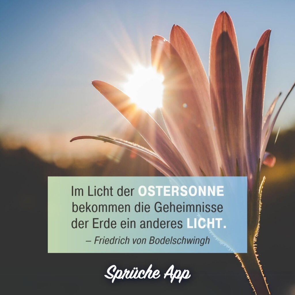 Blume und Sonne mit Zitat: „Im Licht der Ostersonne bekommen die Geheimnisse der Erde ein anderes Licht."  von Friedrich von Bodelschwingh