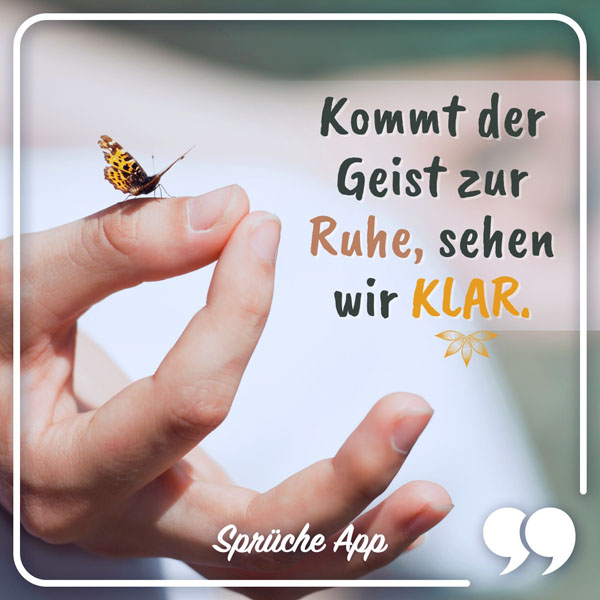 Kleiner Schmetterling auf der Hand mit Spruch: „Kommt der Geist zur Ruhe, sehen wir klar."