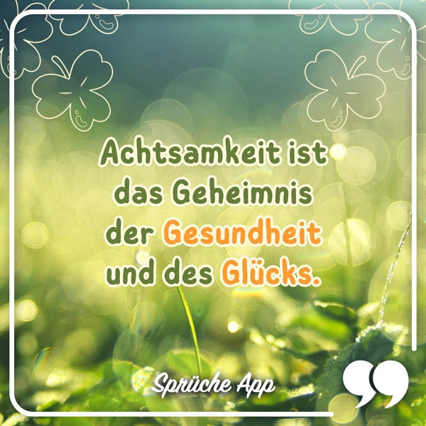 Wiese mit Kleeblättern und Achtsamkeit Spruch: „Achtsamkeit ist das Geheimnis der Gesundheit und des Glücks."