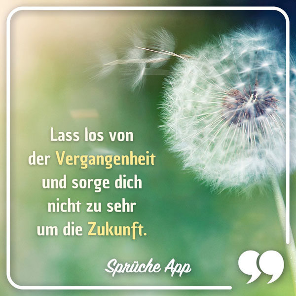 Pusteblume mit Achtsamkeit Spruch: „Lass los von der Vergangenheit und sorge dich nicht zu sehr um die Zukunft."