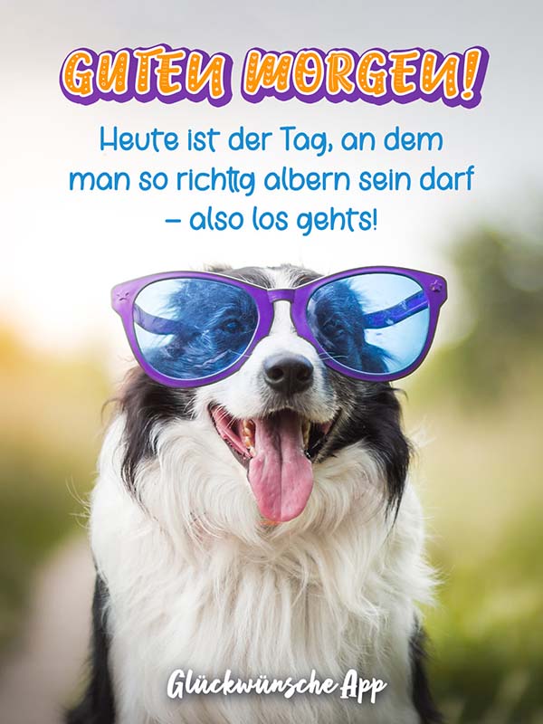 Hund mit Sonnenbrille und Grüße: „Guten Morgen! Heute ist der Tag, an dem man so richtig albern sein darf - also los geht‘s!"