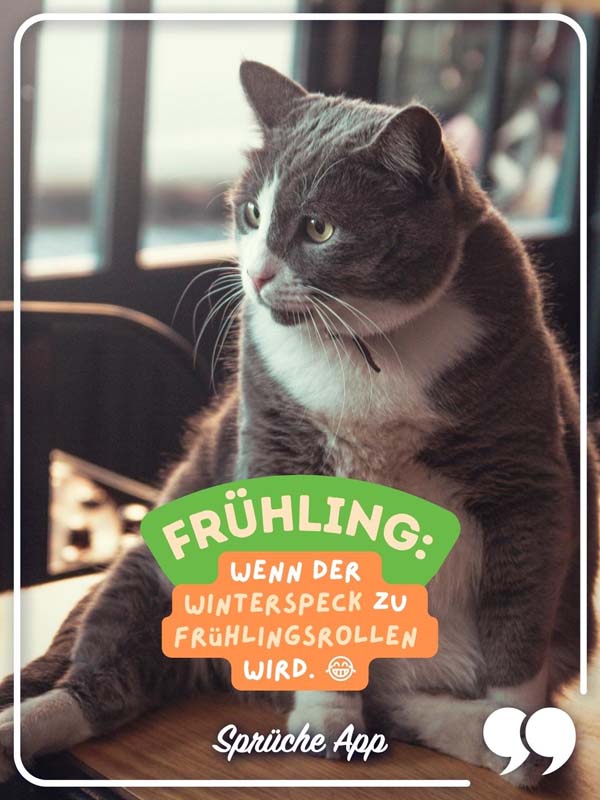 Katze, die sitzt mit Frühling Spruch: „Frühling: Wenn der Winterspeck zu Frühlingsrollen wird."