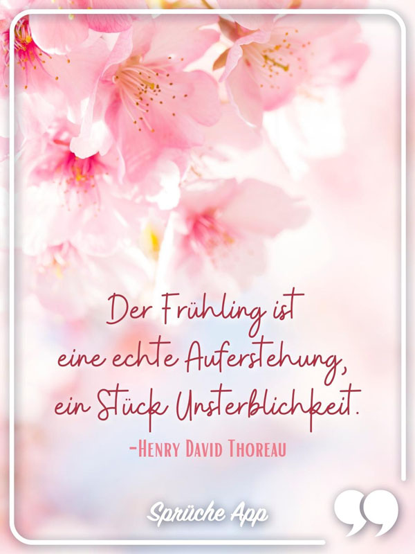 Kirschblüten mit Zitat: „Der Frühling ist eine echte Auferstehung, ein Stück Unsterblichkeit." von Henry David Thoreau