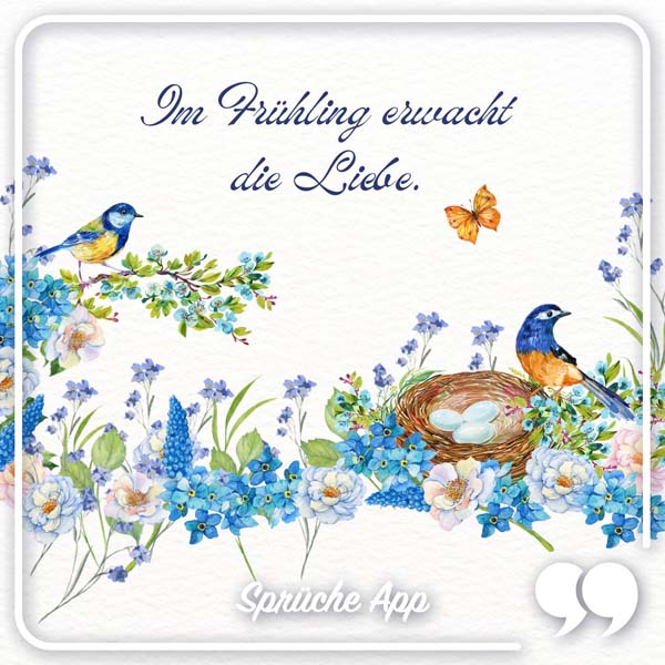 Illustrierte Vögel und Blumen mit Frühling Spruch: „Im Frühling erwacht die Liebe."