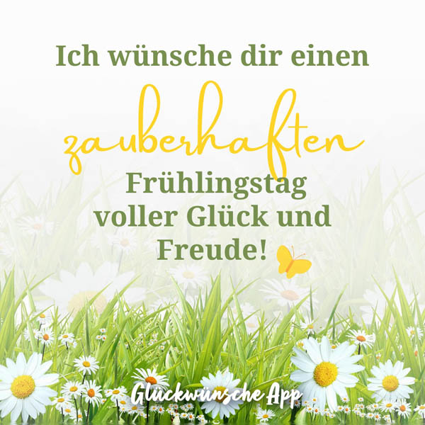 Frühlingswiese mit Gänseblümchen und Frühlingsgruß: „Ich wünsche dir einen zauberhaften Frühlingstag voller Glück und Freude!"