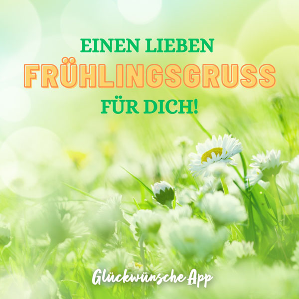 Blumenwiese mit Frühlingsgruß: „Einen lieben Frühlingsgruß für dich!"