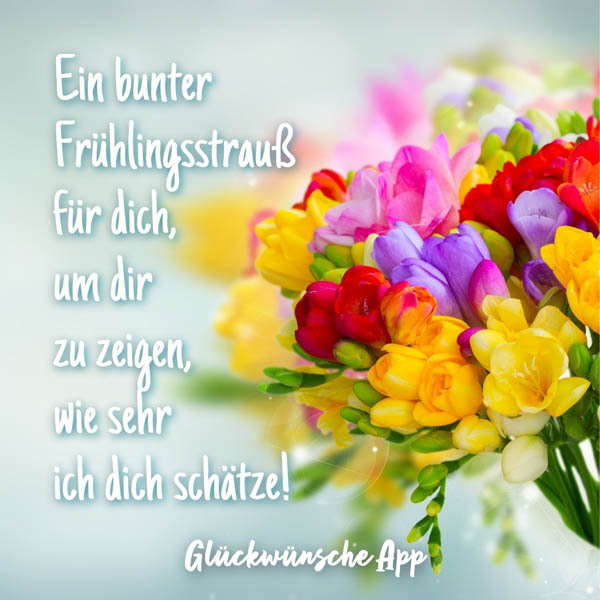 Strauß mit Frühlingsblumen und Frühlingsgruß: „Ein bunter Frühlingsstrauß für dich, um dir zu zeigen, wie sehr ich dich schätze!"