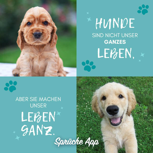 Zwei Hundewelpen mit Spruch: „Hunde sind nicht unser ganzes Leben, aber sie machen unser Leben ganz."