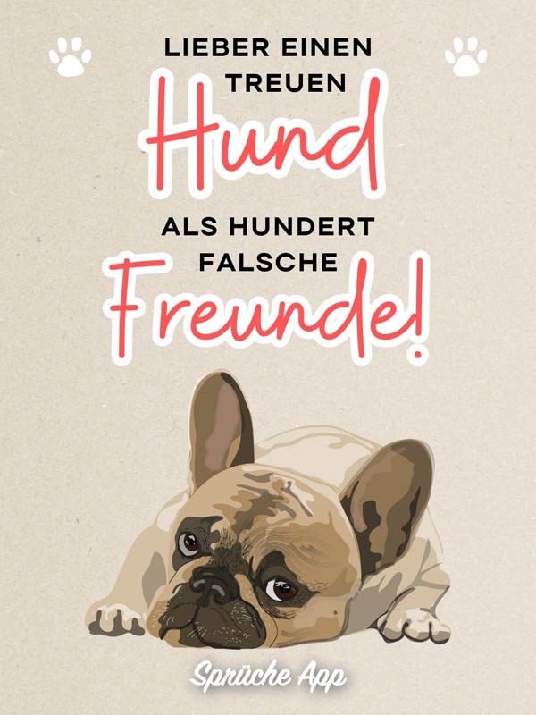 Illustrierter Hund mit Spruch: „Lieber einen treuen Hund als hundert falsche Freunde!"