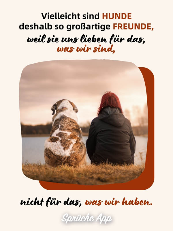 Frau und Hund, die vor einem See sitzen mit Spruch: „Vielleicht sind Hunde deshalb so großartige Freunde, weil sie uns lieben für das, was wir sind, nicht für das, was wir haben."