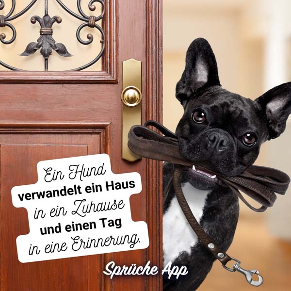 Hund mit Leine im Maul und Spruch: „Ein Hund verwandelt ein Haus in ein Zuhause und einen Tag in eine Erinnerung."