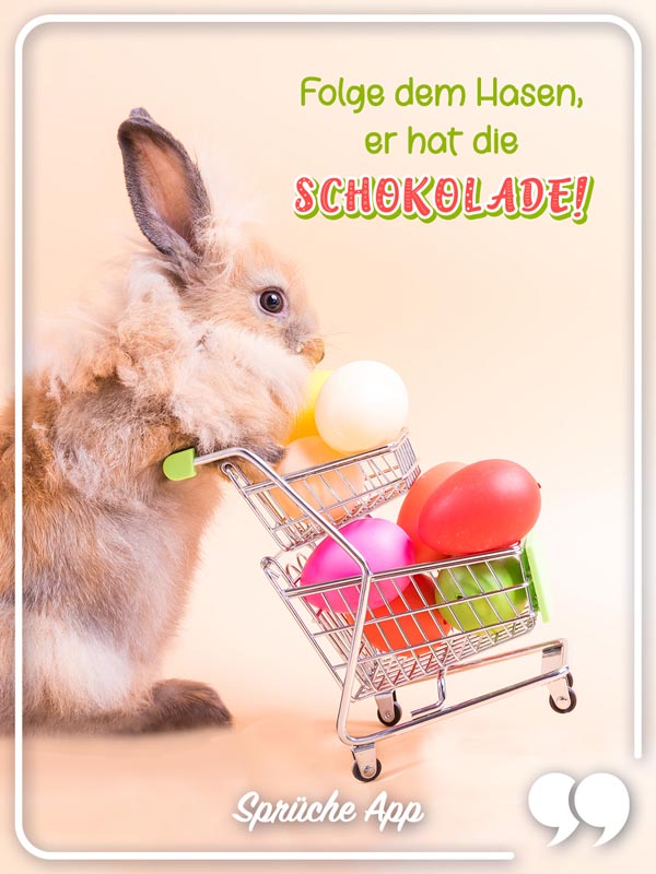 Hase mit Ostereiern und Spruch: „Folge dem Hasen, er hat die Schokolade!"