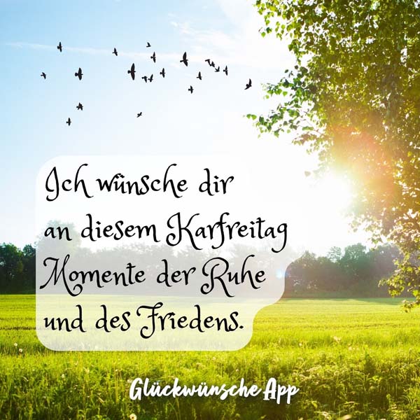 Wiese mit Sonnenschein und Vögel, die fliegen mit Karfreitag Gruß: „Ich wünsche dir an diesem Karfreitag Momente der Ruhe und des Friedens."