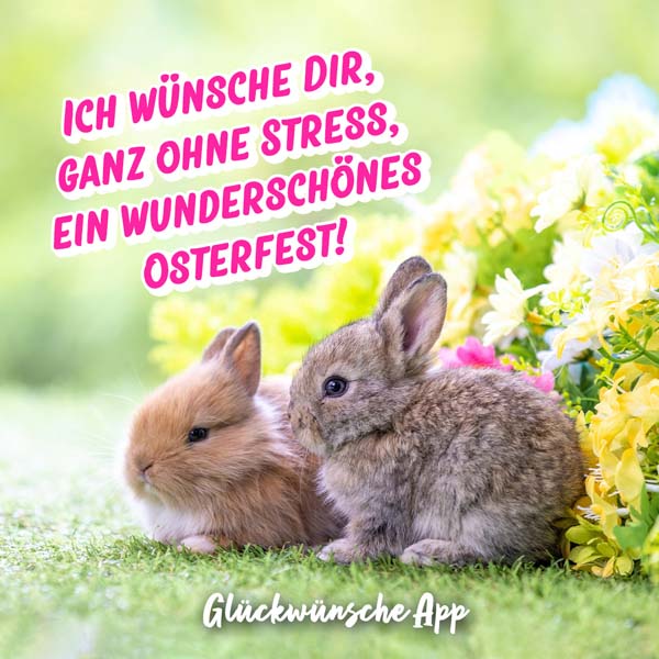 Zwei Hasen auf einer Wiese vor Blumen mit Ostergrüße: „Ich wünsche dir, ganz ohne Stress, ein wunderschönes Osterfest!"