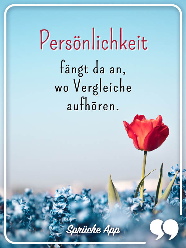 Rote Tulpe auf Blumenfeld mit blauen Blumen und Spruch: „Persönlichkeit fängt da an, wo Vergleiche aufhören."