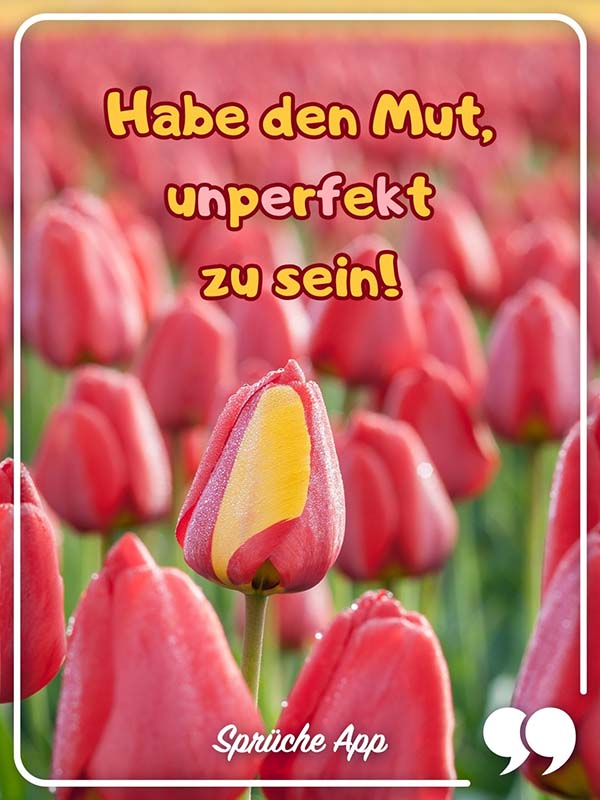 Tulpenfeld mit einzigartiger zweifarbiger Blüte und Spruch: „Habe den Mut, unperfekt zu sein!"